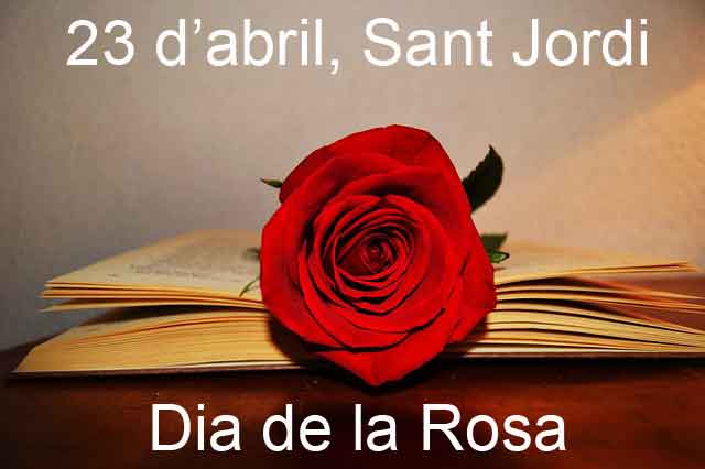 Rosas Sant Jordi Barcelona